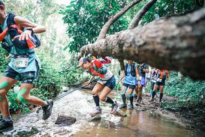 BIB: 
                            <button type="button" onclick="openModal(25372670)" class="btn btn-primary btn-sm float-right btn-popup" data-toggle="modal" data-target=".modal-high-quality">
                        <i class="fas fa-shopping-cart"></i> Add to Cart
                    </button>
                                            <button type="button" onclick="isThisMe(25372670, true)" class="btn btn-success btn-sm float-right btn-popup btn-isme hidden" data-toggle="tooltip" data-placement="bottom" title="นี่คือรูปของคุณใช่ไหม คลิกที่นี่เพื่อเอาเข้าอัลบั้ม">
                        <i class="fas fa-plus"></i> Add to album
                    </button>
                    <button type="button" onclick="isThisMe(25372670, false)" class="btn btn-warning btn-sm float-right btn-popup btn-isnotme hidden">
                        <i class="fas fa-ban"></i> Remove from album
                    </button>